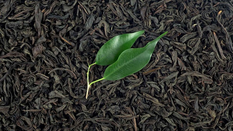 ブランドの情熱を“売上”に変える：お茶のストーリーが生む新しい価値